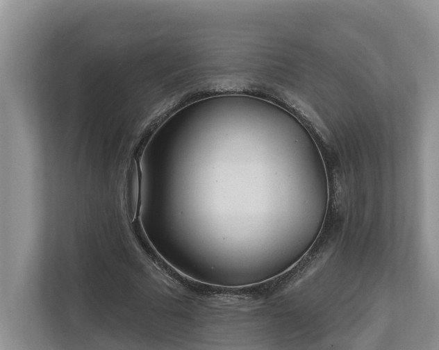 X0000113020681200909031232