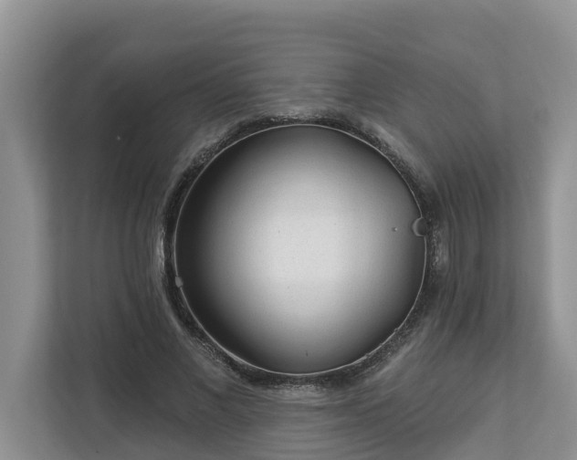 X0000113020685200909031232