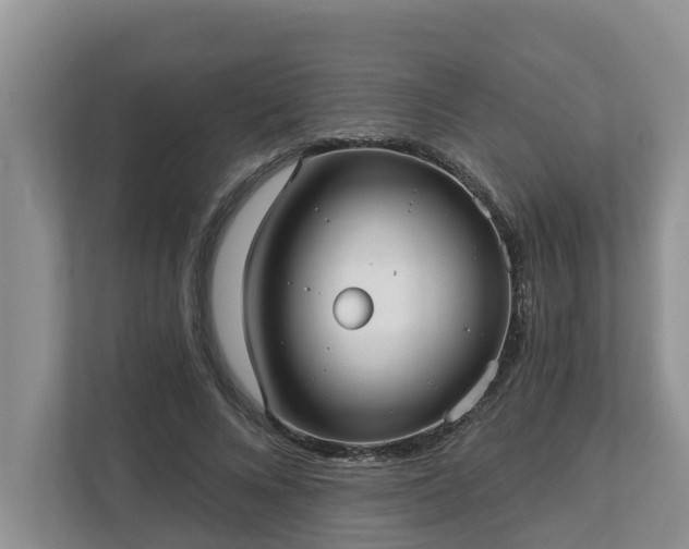 X0000113020688200909031232