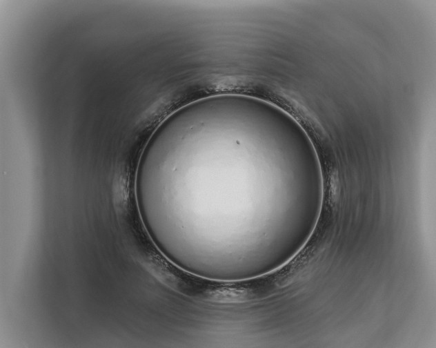 X0000113020691200909031232