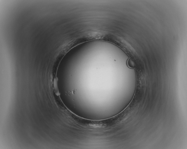X0000113020693200909031232