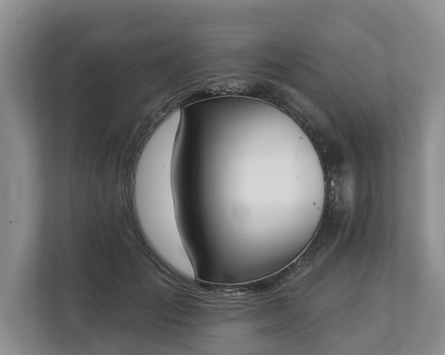 X0000113020701200909031232