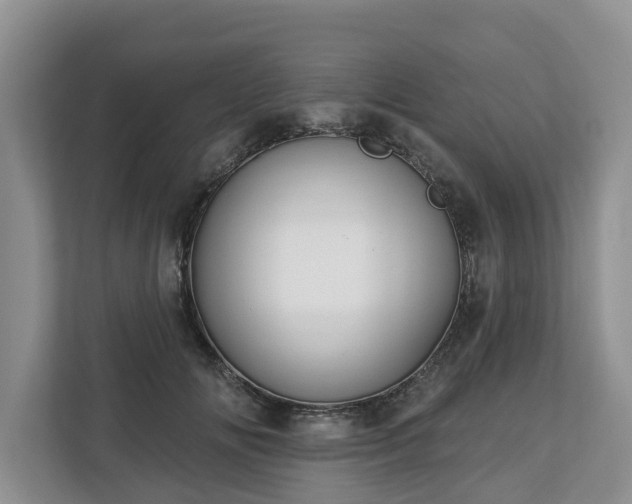 X0000113020702200909031232