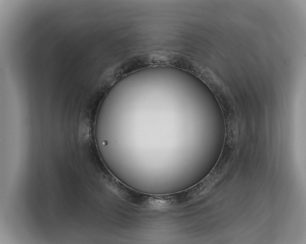 X0000113020706200909031232
