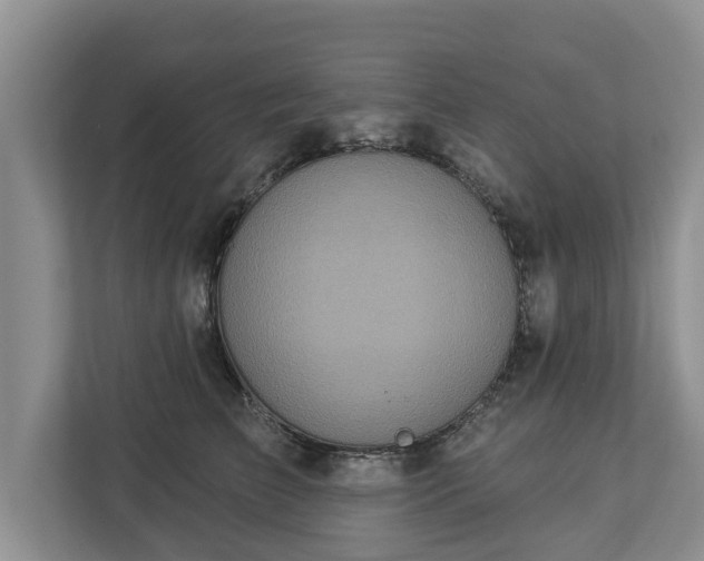 X0000113020709200909031231