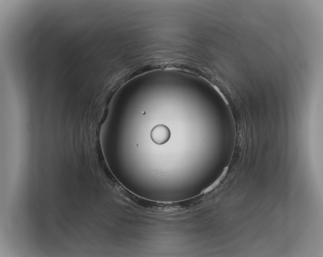 X0000113020716200909031231