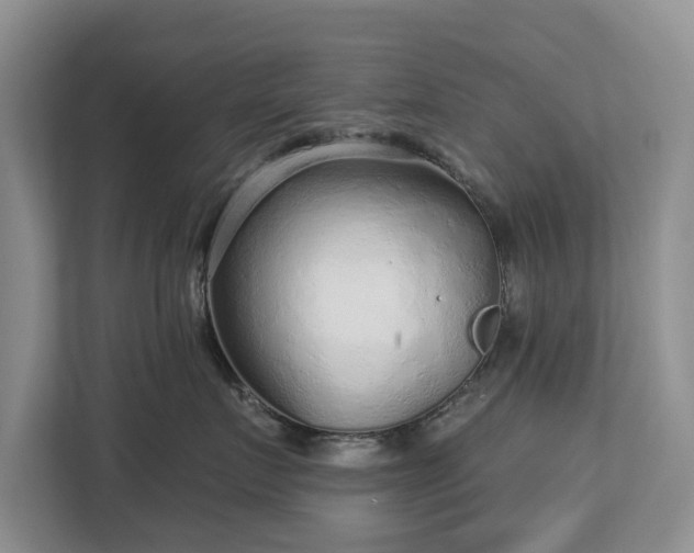 X0000113020719200909031231
