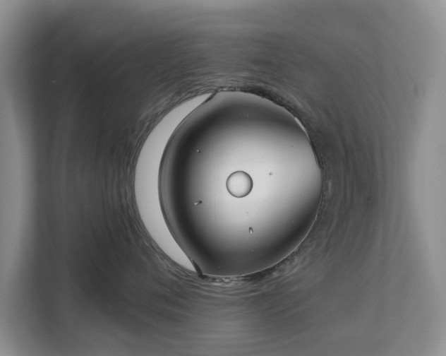 X0000113020720200909031231