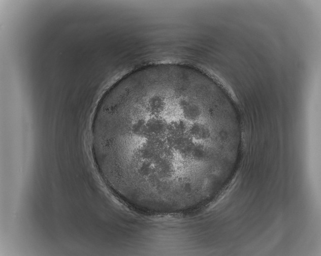 X0000113020721200909031231