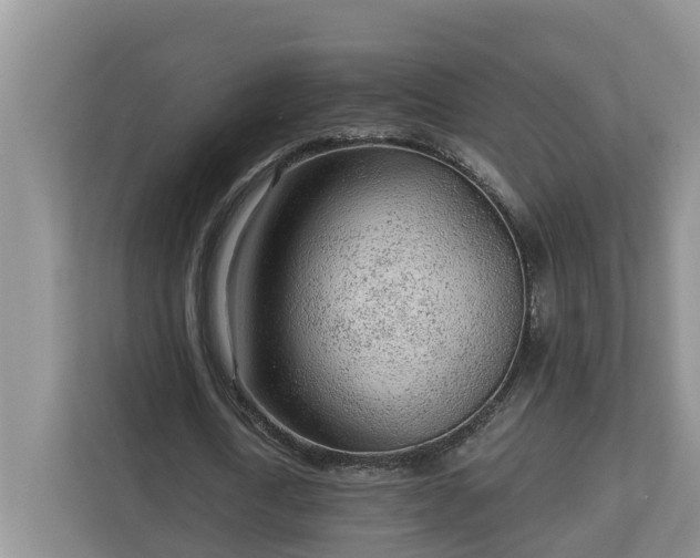 X0000113020722200909031231