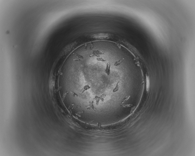 X0000113020723200909031231