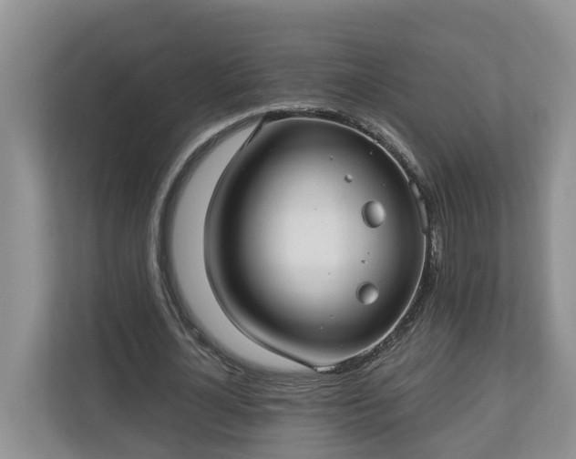 X0000113020724200909031231