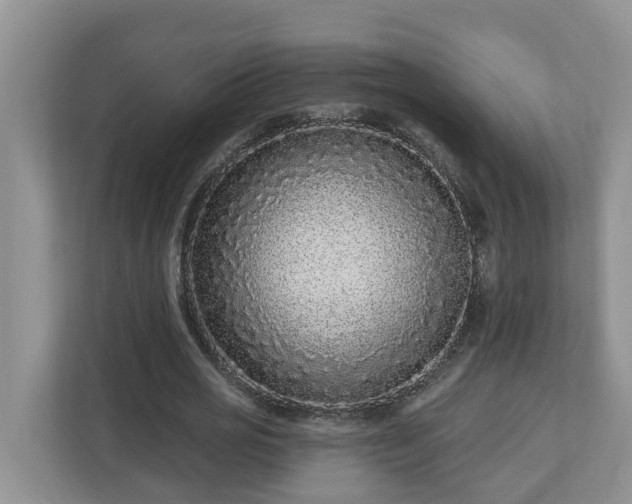 X0000113020725200909031231