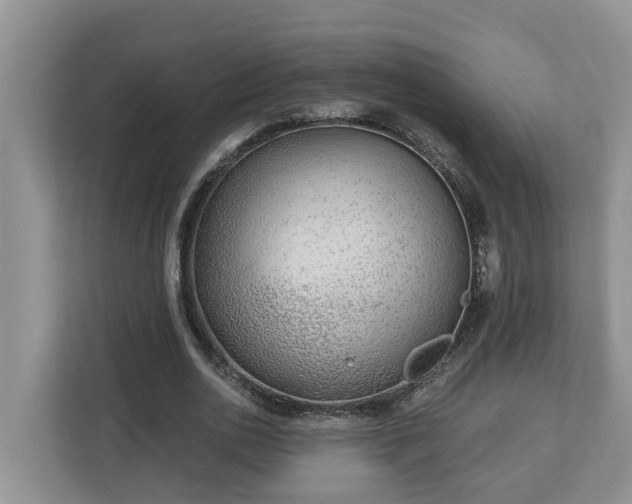 X0000113020726200909031231