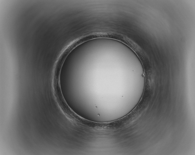 X0000113020728200909031231