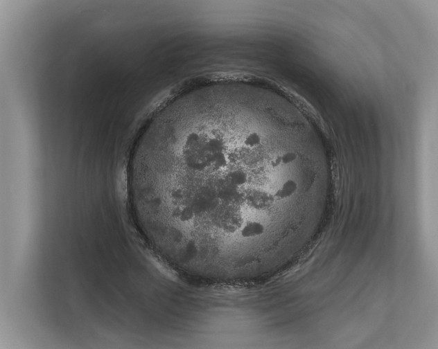 X0000113020729200909031231