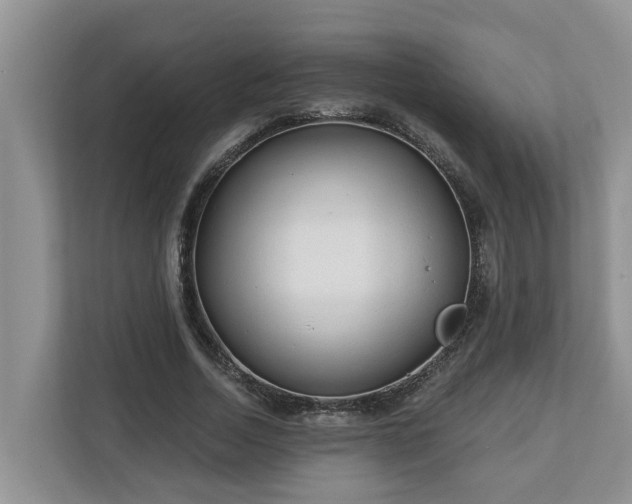 X0000113020730200909031231