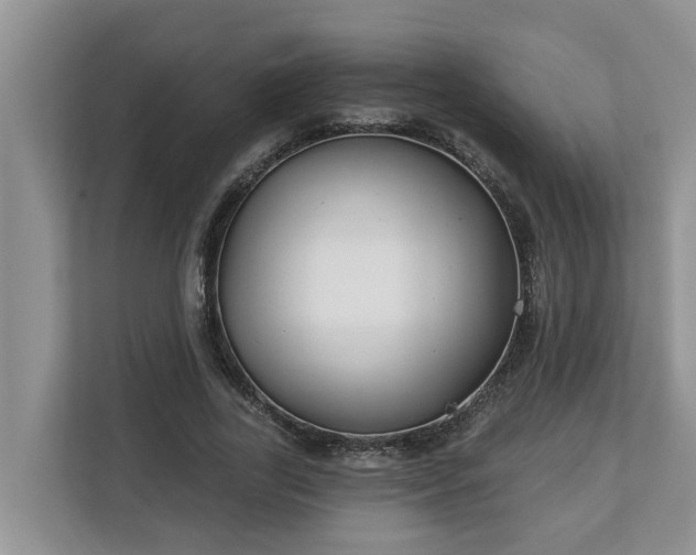X0000113020731200909031231