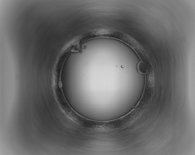X0000113020732200909031231