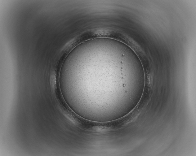 X0000113020733200909031231