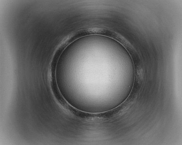 X0000113020734200909031231