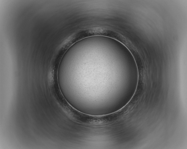 X0000113020735200909031231
