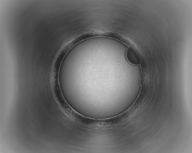 X0000113020736200909031231