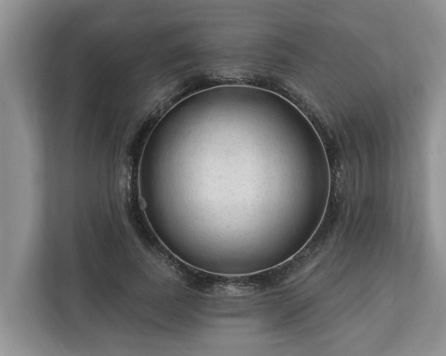 X0000113020739200909031231
