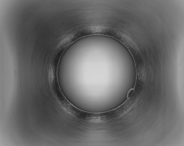 X0000113020740200909031231