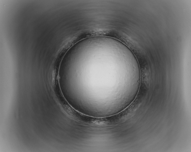 X0000113020742200909031231
