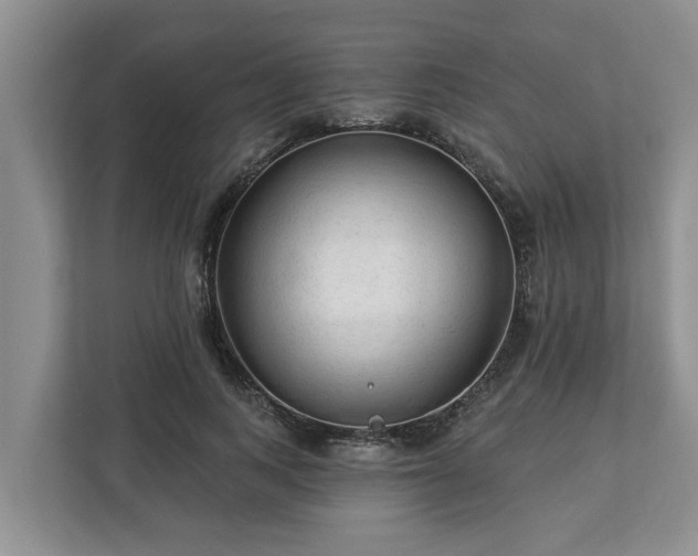 X0000113020743200909031231
