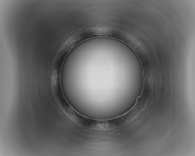 X0000113020744200909031231
