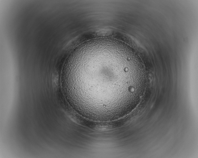 X0000113020745200909031231
