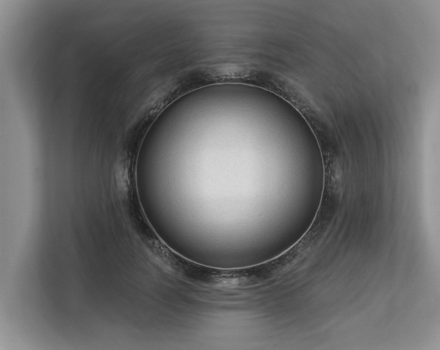 X0000113020746200909031231