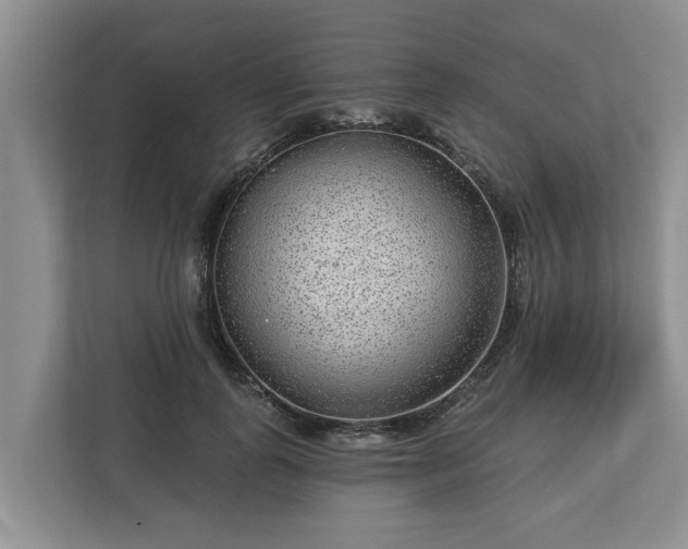 X0000113020747200909031231