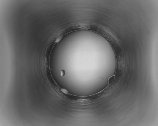 X0000113020748200909031231