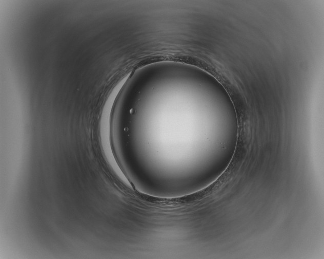X0000113020750200909031231