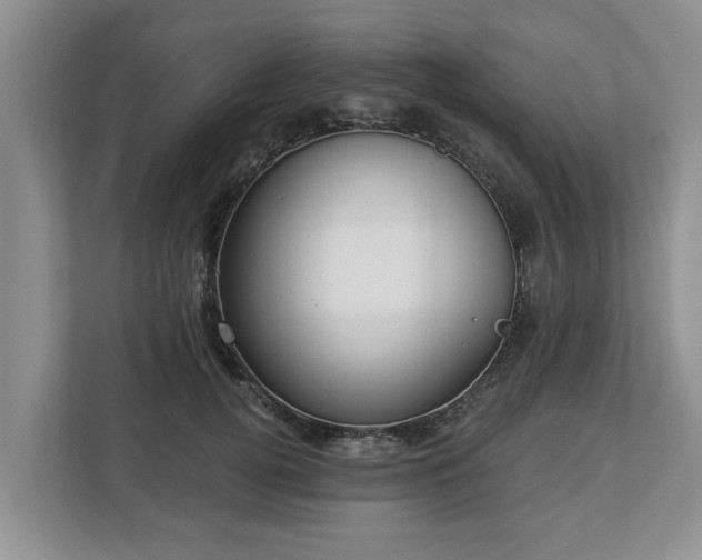 X0000113020752200909031231