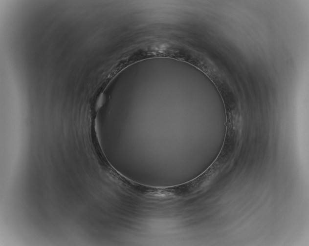 X0000113020754200909031231