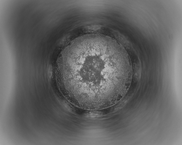 X0000113020758200909031231