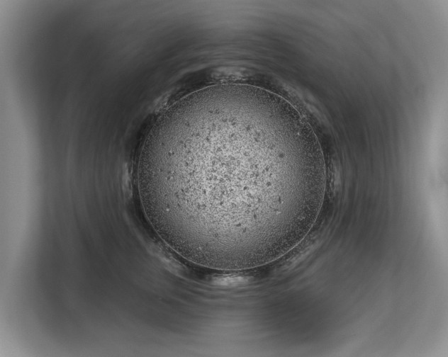 X0000113020759200909031231