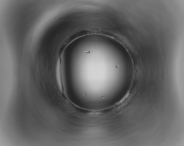 X0000113020762200909031231