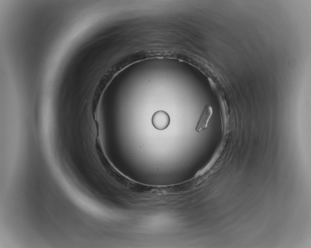 X0000113020764200909031231