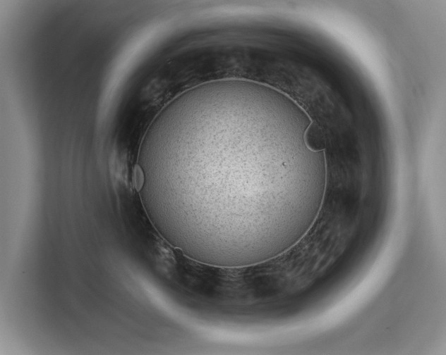 X0000113020766200909031231