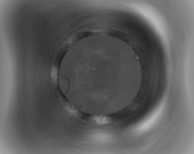 X0000113020767200909031231