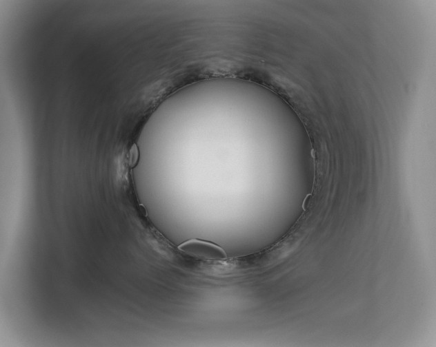 X0000113020768200909031231