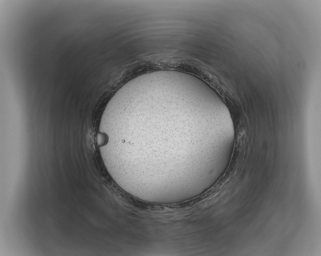 X0000113020772200909031230