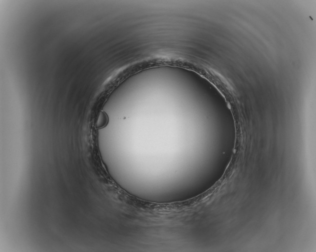 X0000113020776200909031230