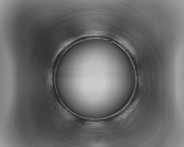 X0000113020781200909031230
