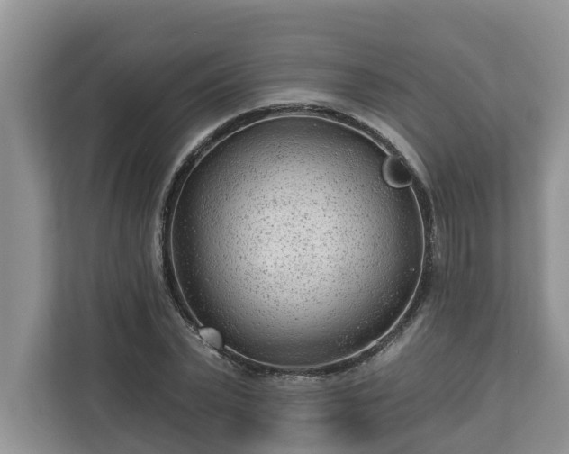 X0000113020783200909031230